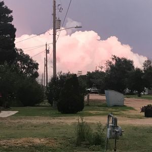 Meet your Posher, Steve bobbie